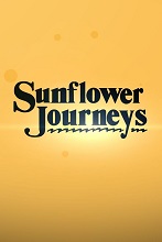 Sunflower Journeys
